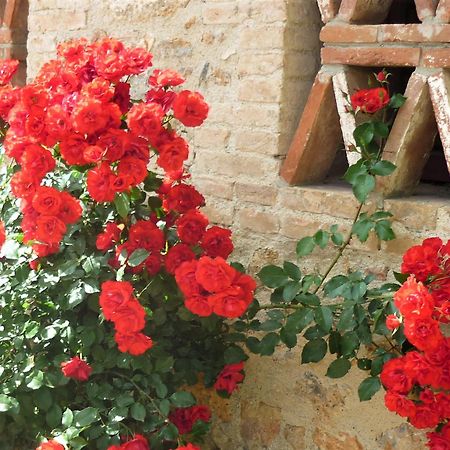 Fattoria Agriturismo Nerbona Casole dʼElsa Екстериор снимка