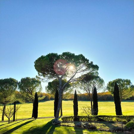 Fattoria Agriturismo Nerbona Casole dʼElsa Екстериор снимка
