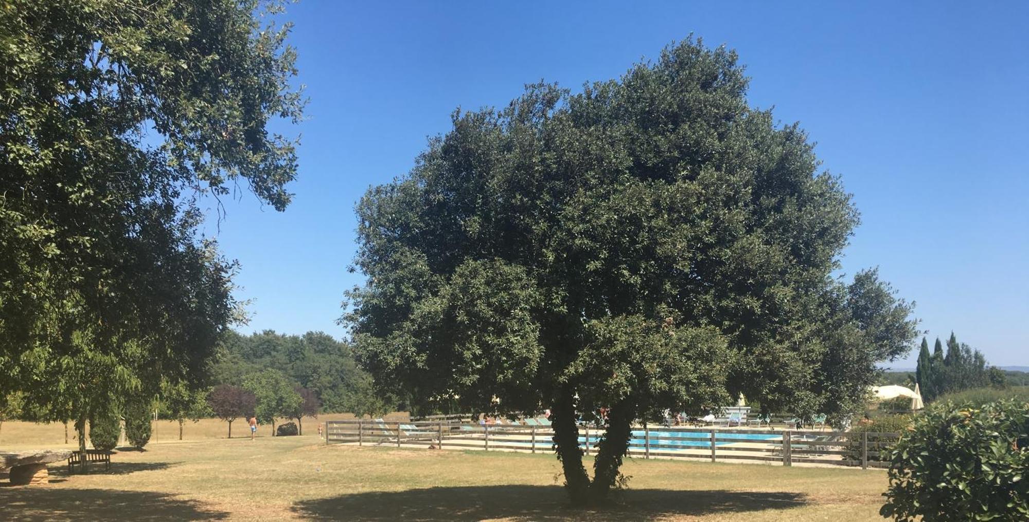 Fattoria Agriturismo Nerbona Casole dʼElsa Екстериор снимка