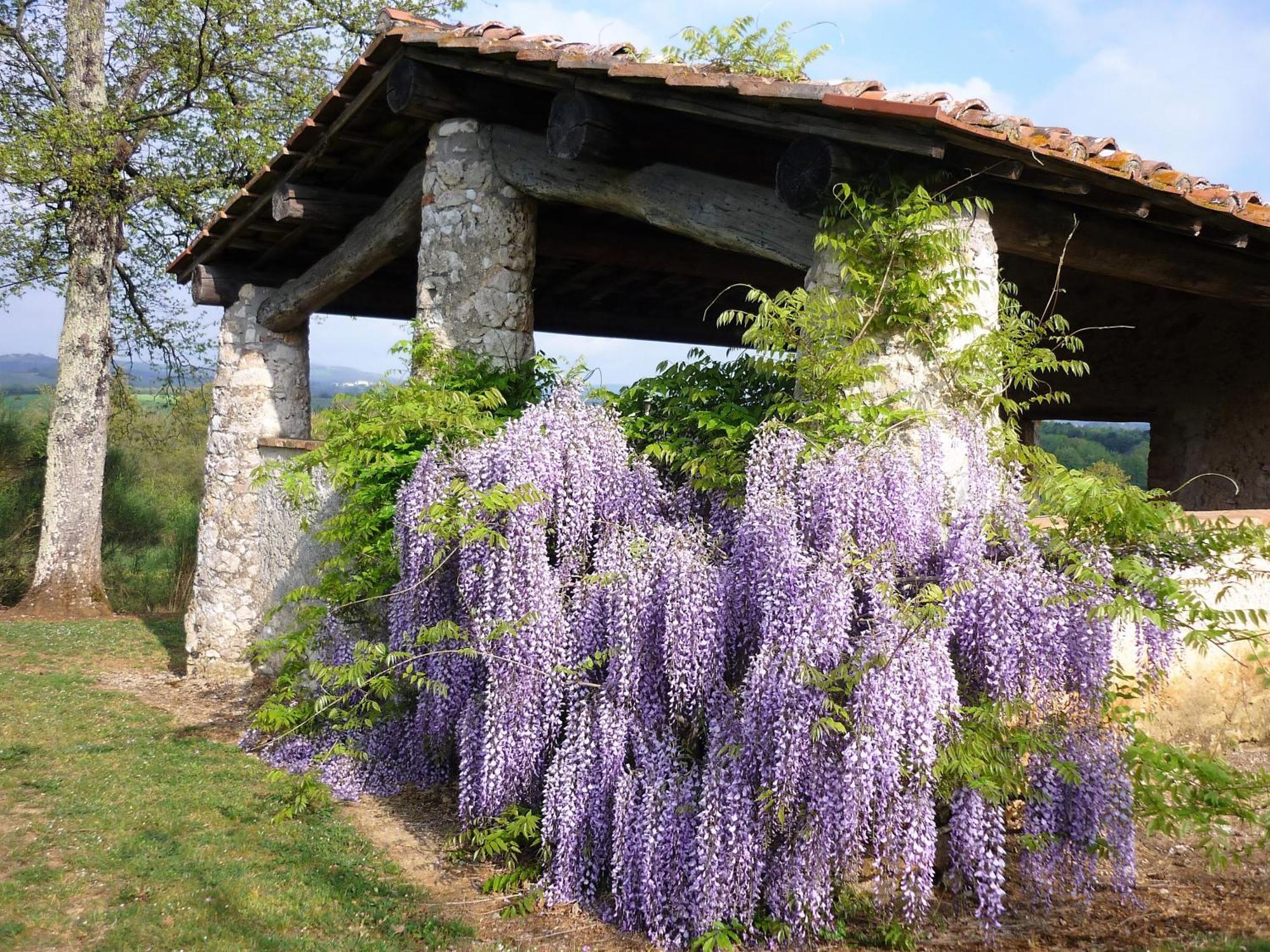 Fattoria Agriturismo Nerbona Casole dʼElsa Екстериор снимка