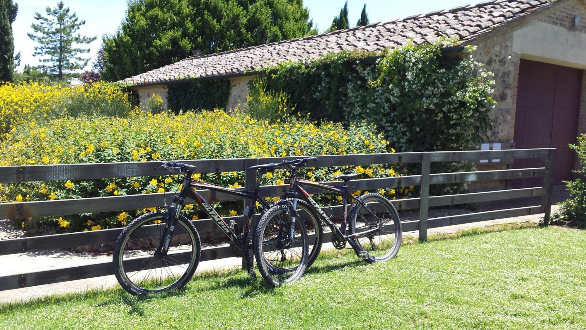 Fattoria Agriturismo Nerbona Casole dʼElsa Екстериор снимка